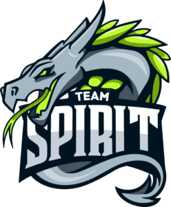 Logo Spirit