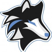 Logo IceWolves Esports